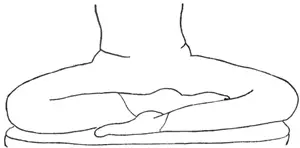 Les asana 06