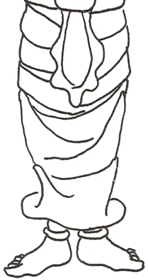 Les asana 21