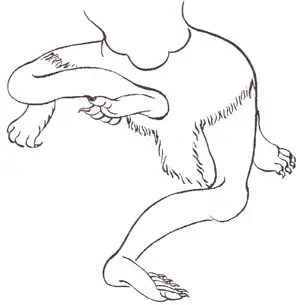 Les asana 29