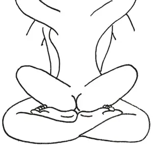 Les asana 41
